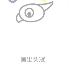 鹦鹉的头冠，简笔画