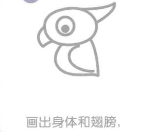 鹦鹉的身体和翅膀，简笔画