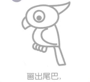 鹦鹉的尾巴，简笔画
