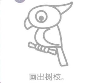 鹦鹉简笔画