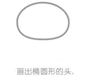 浣熊的头部，简笔画