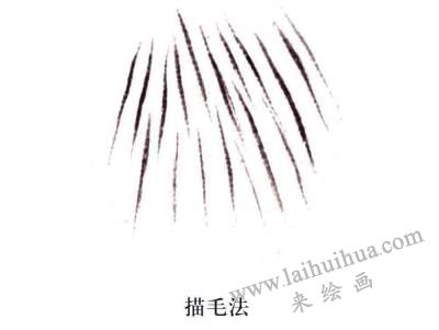 描毛法