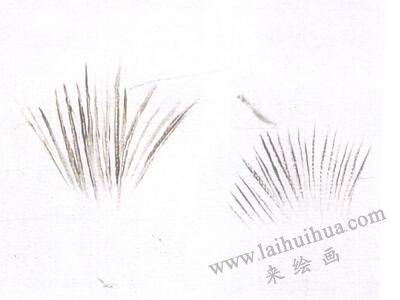 描毛法，油画猫