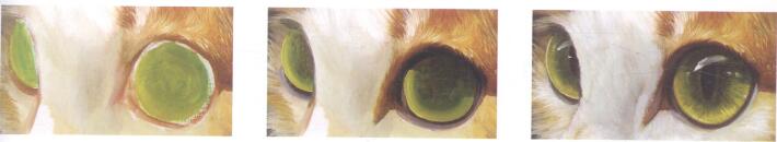 猫眼的油画画法