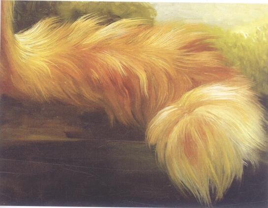 猫尾的油画画法