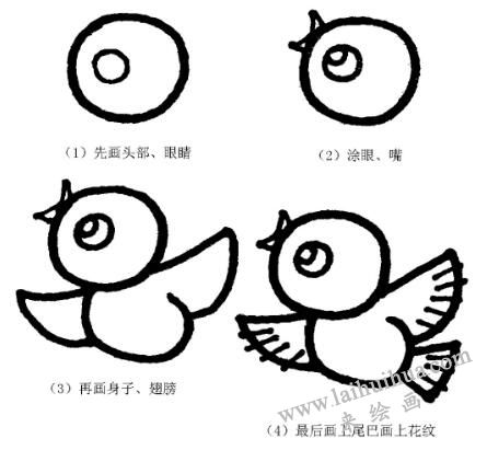 鸟的画法