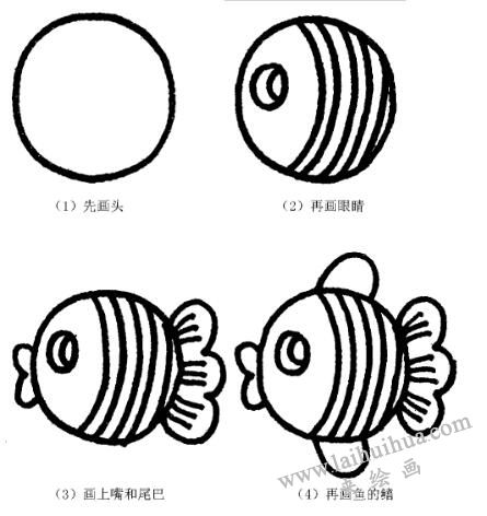 热带鱼的画法