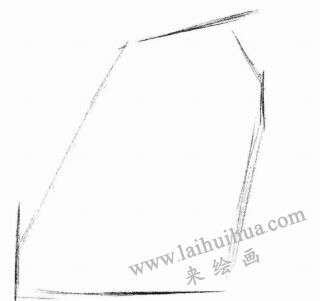 蝴蝶犬的素描画法步骤01