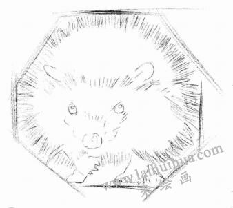 刺猬的素描画法步骤02