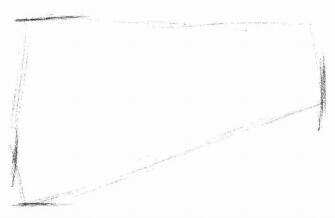 孟加拉猫素描画法步骤01