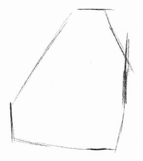 小鸡的素描画法步骤01