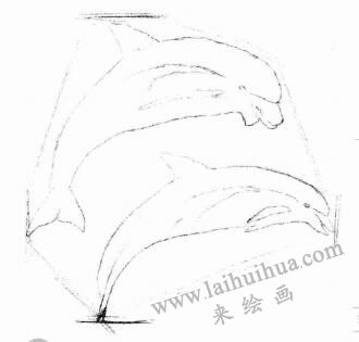 海豚的素描画法步骤02
