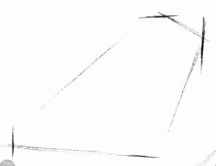 海鸥的素描画法步骤01