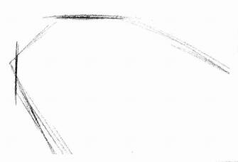孔雀的素描画法步骤01