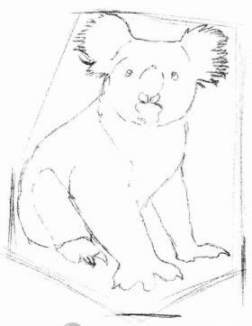 考拉的素描画法步骤02