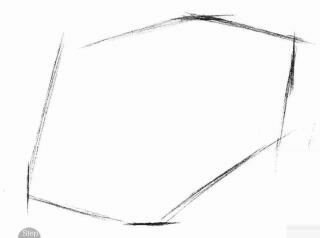大象的素描画法步骤01