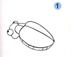 天牛的画法步骤01