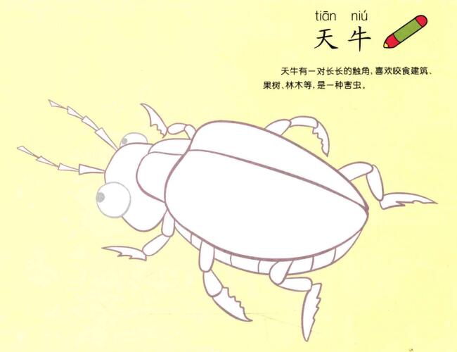 天牛儿童画