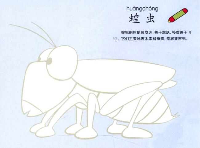 蝗虫儿童画