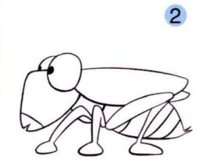 蝗虫的画法步骤02