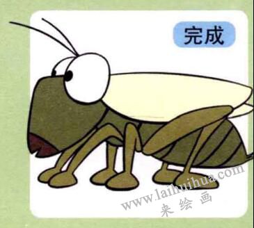 蝗虫的画法步骤04