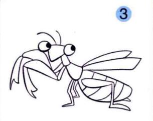 螳螂的画法步骤03