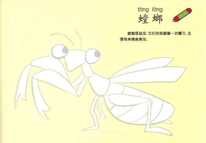 螳螂儿童画