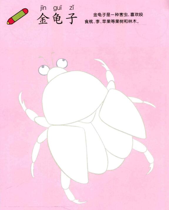 金龟子儿童画