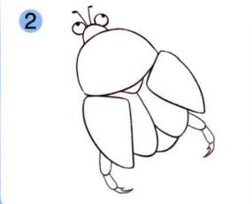 金龟子的画法步骤02