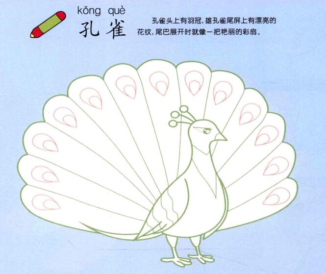 孔雀儿童画法（一）