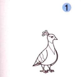孔雀的画法步骤01
