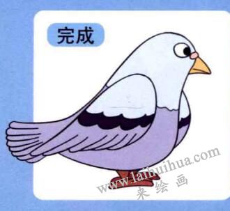 鸽子儿童画