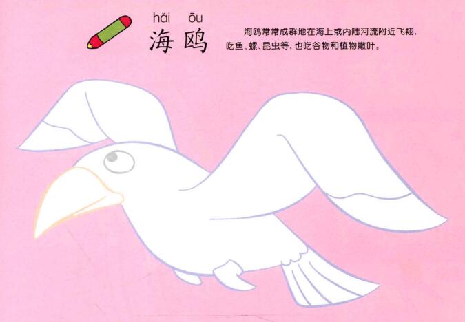 海鸥儿童画法（一）