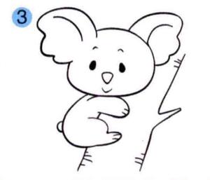 树袋熊的画法步骤03