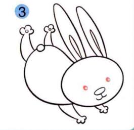 兔子的画法步骤03