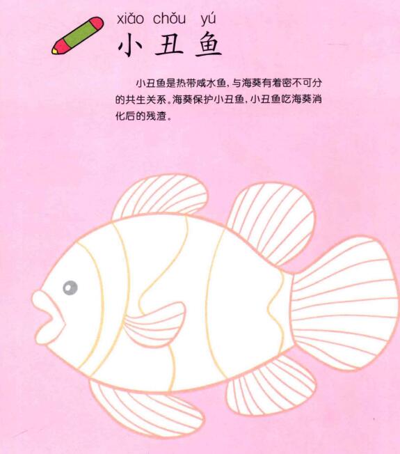 小丑鱼儿童画