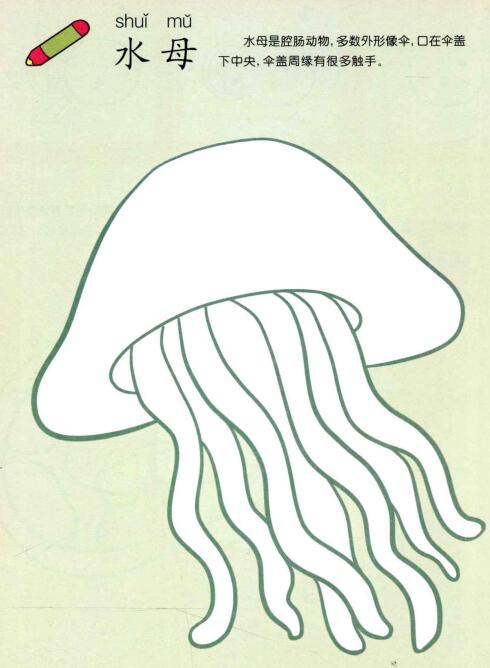 水母儿童画法（一）
