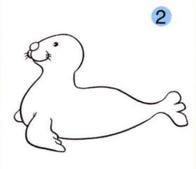 海豹的画法步骤02