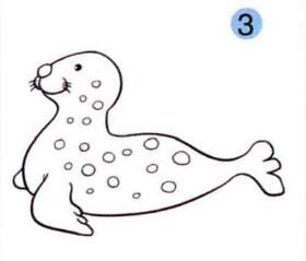 海豹的画法步骤03