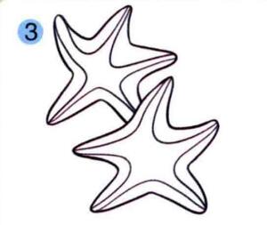 海星的画法步骤03