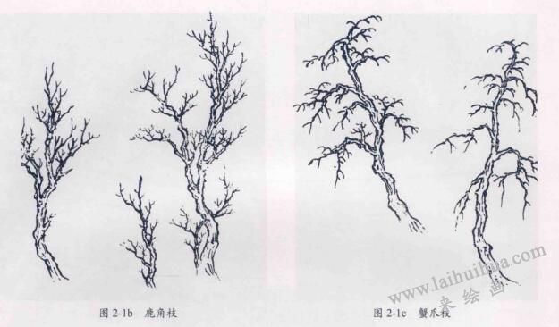 树枝的画法