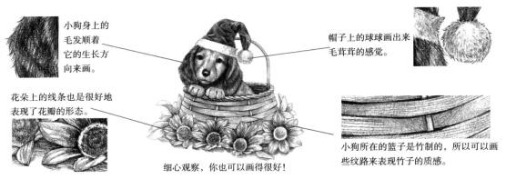 物体的质感