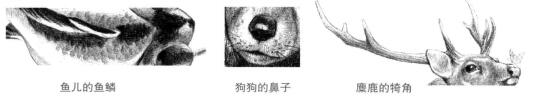 物体的特征