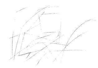猫头鹰素描画线稿画法步骤01
