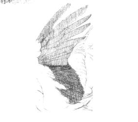 海雕素描铺大色画法步骤01