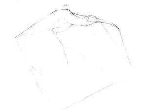 朱鹮素描画线稿画法步骤01