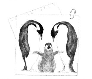企鹅一家三口素描铺大色画法步骤08