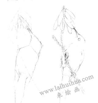 蜂鸟的素描画线稿画法