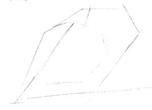 巨嘴鸟的素描画线稿画法步骤01