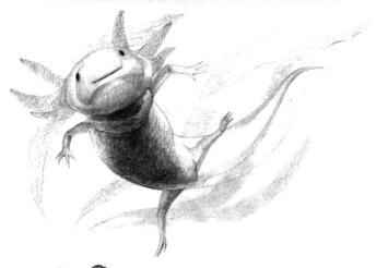 六角恐龙的素描铺大色画法步骤06